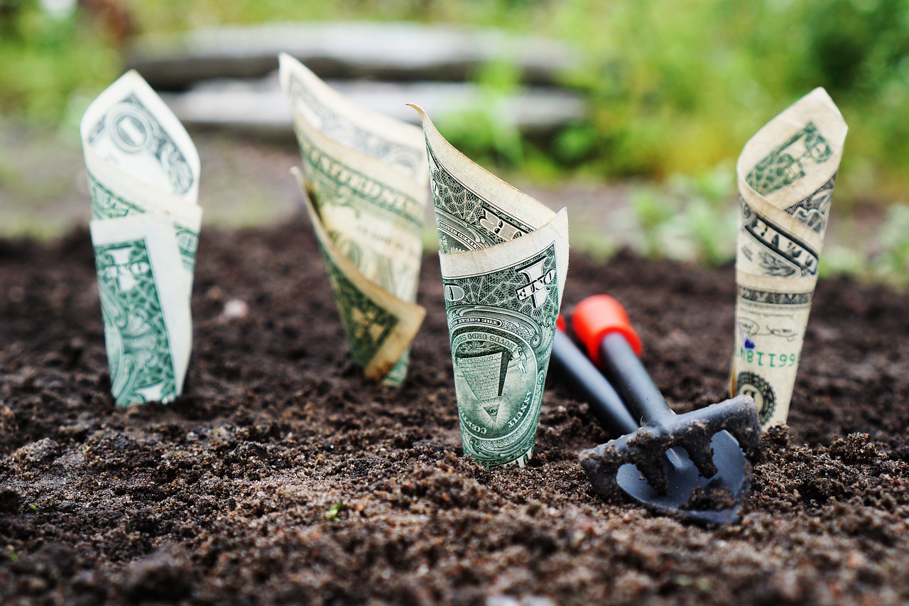 Planting seeds of investment in fertile soil with dollar bills sprouting like seedlings, symbolizing personal growth and financial investment in self-development.